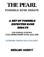 PEARL ESSAY QUESTIONS.pdf